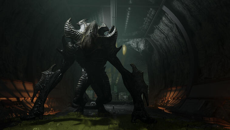 A brand new type of Xenomorph